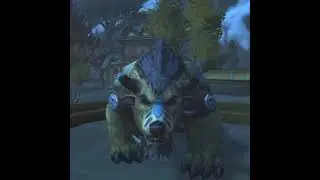 WOW Outland Cup!