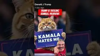 Trump Trolls Kamala: Hilarious Dog and Cat Joke 🐕🐈&zwj;⬛