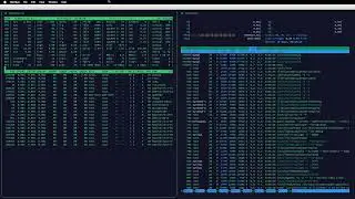 Live Linux server: htop vs atop