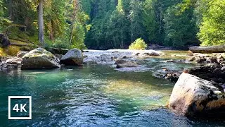 4K Emerald Waters Ambience | Forest River Nature Sounds for Sleep & Study | Relaxing Nature Scene