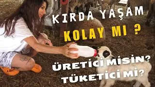 Kırda Yaşamın Reklamları ve Gerçekleri