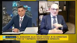 Estrella TV 62 | Attorney Ilan Katz explains the implications of the Julio Cesar Chavez Jr. arrest