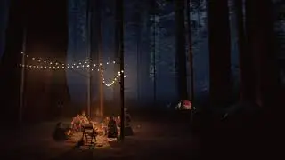 A group of friends around the campfire.Chill music for relaxing by the campfire