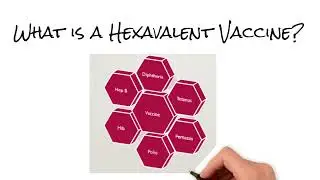 Vaccine Update- Hexavalent Vaxelis