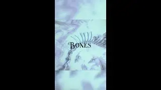 'Bones' - new song by Imagine Dragons out now