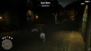 Red Dead Redemption 2_20260108123208