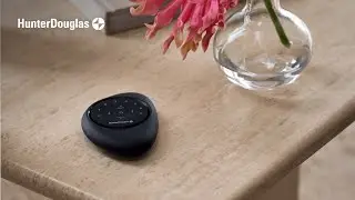 Legacy PowerView&reg; Pebble&reg; Remote - How to Pair a Repeater to a Remote