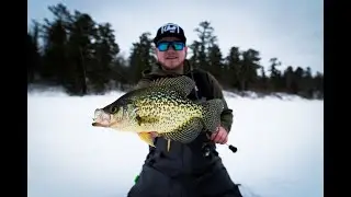 Basin Panfish BATTLE in the BACKWOODS