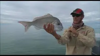 Shark Bay Snapper on Fly