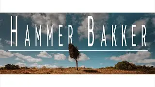 HAMMER BAKKER - 4K Timelapse