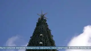 11.02.2026 В кражах уличных новогодних украшений обвиняют 58-летнего мужчину из Корсакова