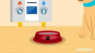 How to Prevent Your Pet's Water from Freezing