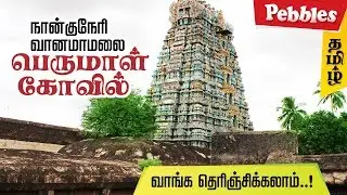 நாங்குநேரி வானமாமலை பெருமாள் கோவில் |  Vanamamalai Perumal temple | Tamil Nadu Tourism