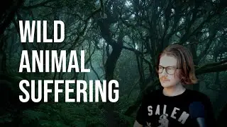 We probably shouldn't do anything (drastic) about wild animal suffering