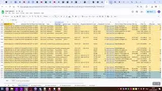 Data obtained through the SAM.gov API and extract business entity records