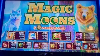 MAGIC MOONS PROGRESSIVE WINS AND FEATURE BONUS.