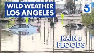 Looking back at major SoCal floods | Wild Weather LA