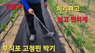 허리펴고 쉽고 편하게  부직포 고정핀 박기..  너무 쉬워요.