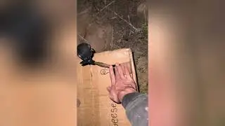 Vlog #1 - Golf Ball Snatching and Frog Napping