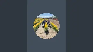 &iexcl;UN CHILANGO EN WASHINGTON  🇺🇸  est&aacute; emitiendo en directo!