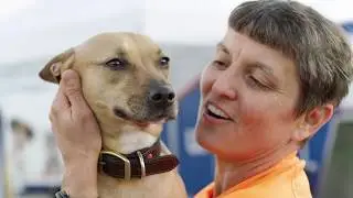 We Are PetSmart Charities