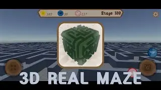 3D Real Maze