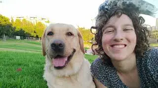 Impact of war - PTSD service dogs, guide dogs, emotional support dogs