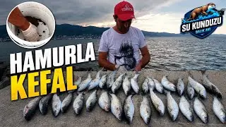 CANLI YEM HAMURLA KEFAL NASIL TUTULUR ( 3)  balık avı ( Mullet fish hunt)🇹🇷🇹🇷🇹🇷