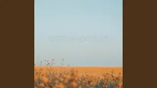 Girasole