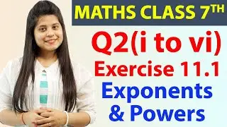 Q 2(i to vi), Ex 11.1 - Exponents & Powers - Chapter 11, Maths Class 7th - NCERT, CBSE