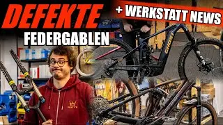 LIVESTREAM ANKÜNDIGUNG + GHOST RIOT E + CUBE STEREO + PROJEKTE FÜR 2024