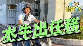 【水牛出任務】 Ep1：河川汙水死魚、排水系統設計不良等民眾陳情