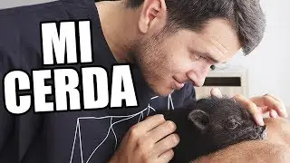 MI CERDO Y YO