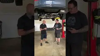 Vehicle Protection 101: Everything You Need to Know | Grasslot Boys Denver