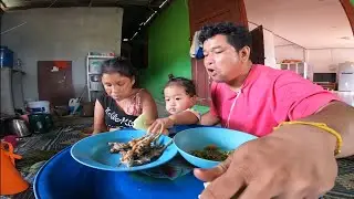 มื้อนี้กินข้าวกับปิ้งเขียด แซ่บๆพี่น้อง เครียดแล้วดูนี่กำลังมัน 10 พฤศจิกายน ค.ศ. 2025