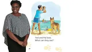 Rex and Pal Get Wet | Decodable Reader | Black, Hispanic, & Indigenous Homeschooling Families |
