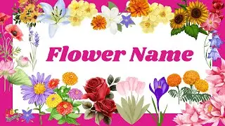 Flower Names for Kids | Learn Flowers with Real Images |Learn 10+ Flower Names in English