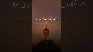 Share Islamic | سلامی شیر | AunAbbas shorts 💯