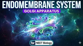 The Cell’s Ultimate Post Office: How the Golgi Apparatus Works NEET 2026 by Himanshu