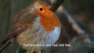 Brandon Reach short film Credit Simon Watts