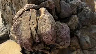 Rocks.Geology.Extreme wildlife.
