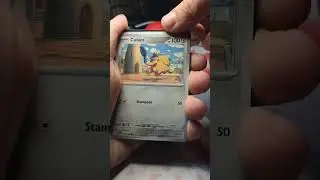 Back with the  Paldean Evolved opening pokemon cards  #pokemon #fyp #foryou