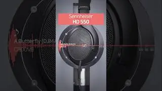 【REAL SOUND】Sennheiser HD600 🆚  HD550