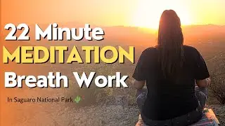 22 Minute Breath & Mudra Meditation | Saguaro National Park 🌵
