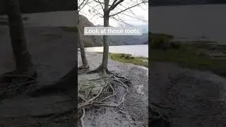 Glendalough Ireland. #ireland #tourism #ytshorts #youtubeshorts #meetme #irishtourism #me