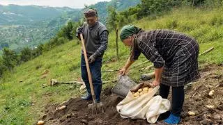 Mountain Village Life With Hundreds of Goats and Family Farming