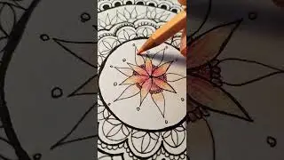 Momento color. #mandala #mindfulness #creative #meditation #zenart #colors #wellness #short
