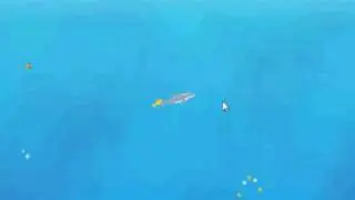 Dolphin Olympics 2: Highest Jump Ever