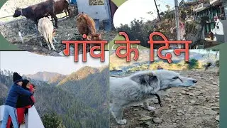 हर जगह गांव सुनसान पड़े हैं 😶😶