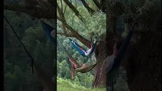 #glamping #tropical #tentview #tentcamping #fypシ #fd #video